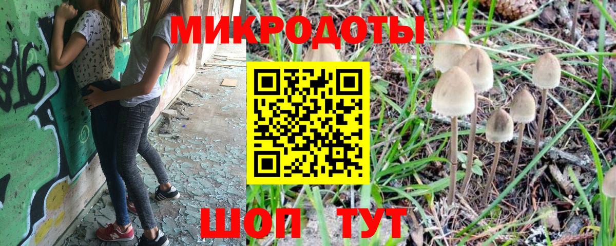 Галлюциногенные грибы ЛСД  Галлюциногенные грибы Psilocybine cubensis  Вход с VPN  наркошоп  Камень-на-Оби 